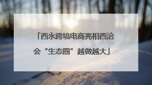 西永跨境电商亮相西洽会“生态圈”越做越大