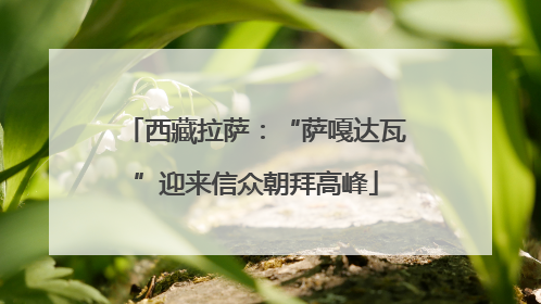 西藏拉萨：“萨嘎达瓦”迎来信众朝拜高峰