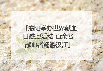 襄阳举办世界献血日感恩活动 百余名献血者畅游汉江