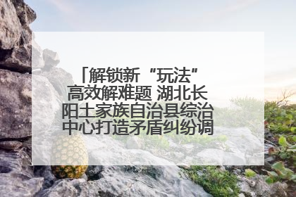 解锁新“玩法” 高效解难题 湖北长阳土家族自治县综治中心打造矛盾纠纷调处“终点站”
