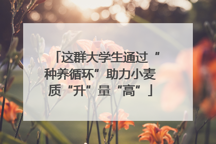这群大学生通过“种养循环”助力小麦质“升”量“高”