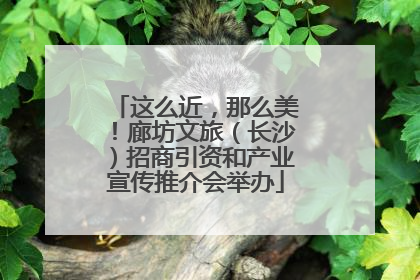 这么近，那么美！廊坊文旅（长沙）招商引资和产业宣传推介会举办