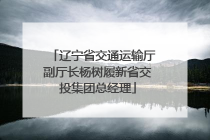 辽宁省交通运输厅副厅长杨树履新省交投集团总经理