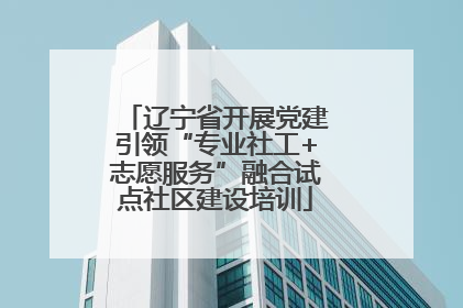 辽宁省开展党建引领“专业社工+志愿服务”融合试点社区建设培训