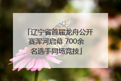 辽宁省首届龙舟公开赛浑河启幕 700余名选手同场竞技