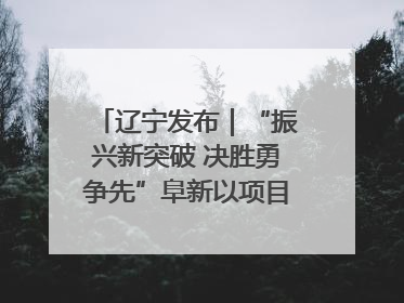 辽宁发布｜“振兴新突破 决胜勇争先”阜新以项目攻坚破解发展瓶颈 经济发展实现良好开局