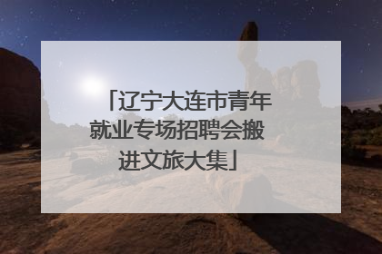 辽宁大连市青年就业专场招聘会搬进文旅大集