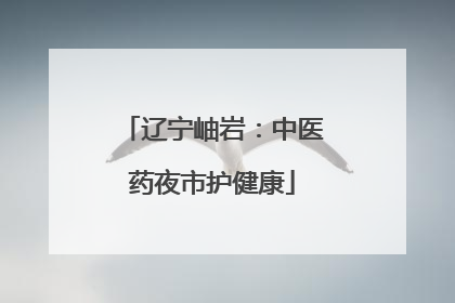 辽宁岫岩：中医药夜市护健康