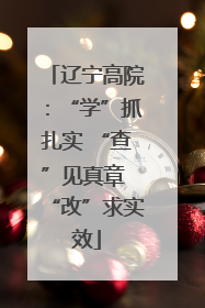 辽宁高院：“学”抓扎实 “查”见真章 “改”求实效