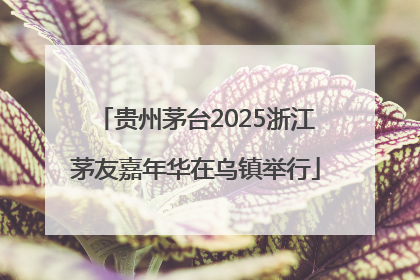 贵州茅台2025浙江茅友嘉年华在乌镇举行