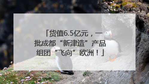 货值6.5亿元，一批成都“新津造”产品组团“飞向”欧洲！