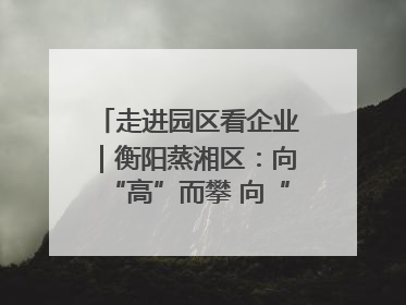 走进园区看企业｜衡阳蒸湘区：向“高”而攀 向“新”而行