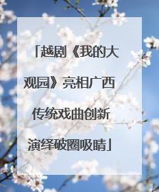 越剧《我的大观园》亮相广西 传统戏曲创新演绎破圈吸睛