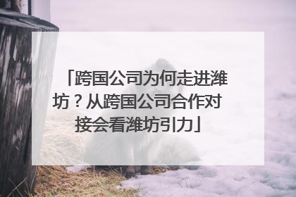 跨国公司为何走进潍坊？从跨国公司合作对接会看潍坊引力