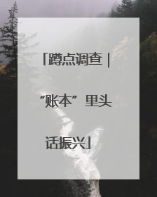 蹲点调查｜“账本”里头话振兴