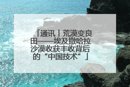 通讯丨荒漠变良田——埃及撒哈拉沙漠收获丰收背后的“中国技术”