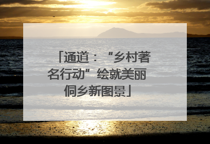 通道：“乡村著名行动”绘就美丽侗乡新图景