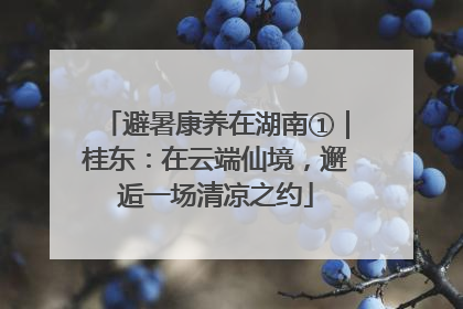 避暑康养在湖南①｜桂东：在云端仙境，邂逅一场清凉之约