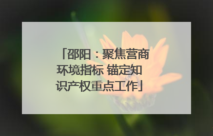 邵阳：聚焦营商环境指标 锚定知识产权重点工作