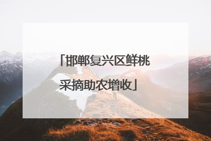 邯郸复兴区鲜桃采摘助农增收