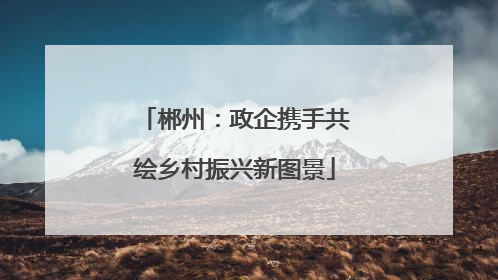 郴州：政企携手共绘乡村振兴新图景