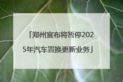 郑州宣布将暂停2025年汽车置换更新业务