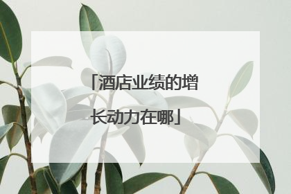 酒店业绩的增长动力在哪