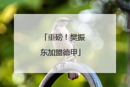 重磅！樊振东加盟德甲