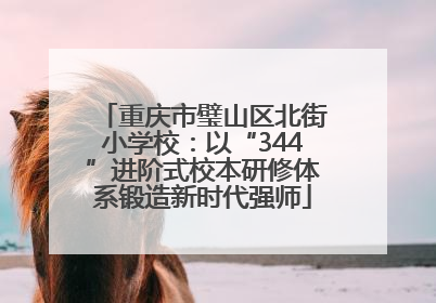 重庆市璧山区北街小学校：以“344”进阶式校本研修体系锻造新时代强师