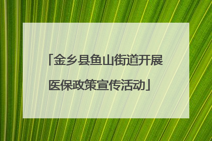 金乡县鱼山街道开展医保政策宣传活动