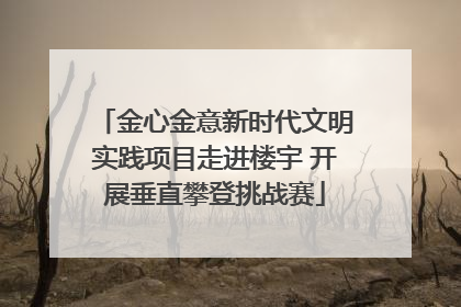 金心金意新时代文明实践项目走进楼宇 开展垂直攀登挑战赛