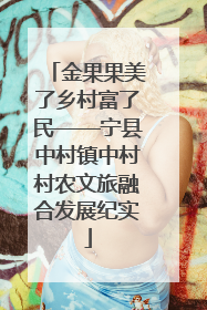 金果果美了乡村富了民——宁县中村镇中村村农文旅融合发展纪实