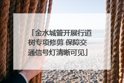 金水城管开展行道树专项修剪 保障交通信号灯清晰可见