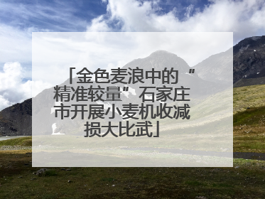 金色麦浪中的“精准较量”石家庄市开展小麦机收减损大比武
