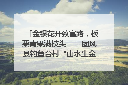 金银花开致富路，板栗青果满枝头——团风县钓鱼台村“山水生金”谱写共富新篇章