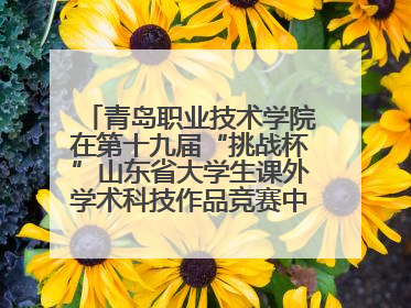 青岛职业技术学院在第十九届“挑战杯”山东省大学生课外学术科技作品竞赛中斩获佳绩