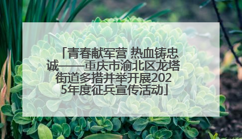 青春献军营 热血铸忠诚——重庆市渝北区龙塔街道多措并举开展2025年度征兵宣传活动