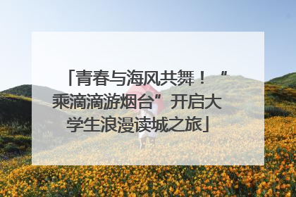 青春与海风共舞！“乘滴滴游烟台”开启大学生浪漫读城之旅