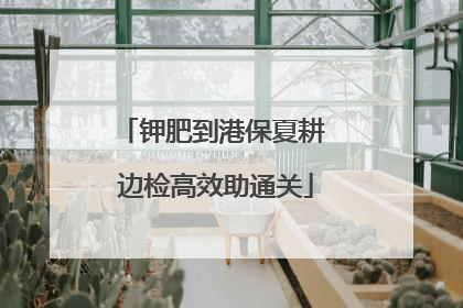 钾肥到港保夏耕 边检高效助通关