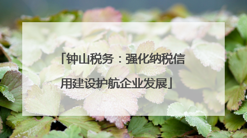 钟山税务：强化纳税信用建设护航企业发展
