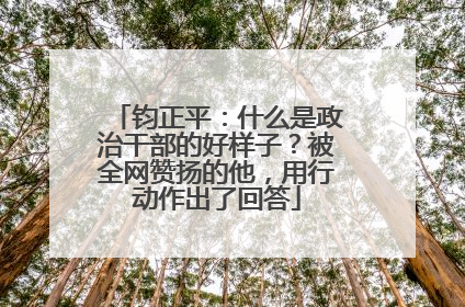 钧正平：什么是政治干部的好样子？被全网赞扬的他，用行动作出了回答