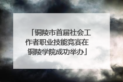 铜陵市首届社会工作者职业技能竞赛在铜陵学院成功举办