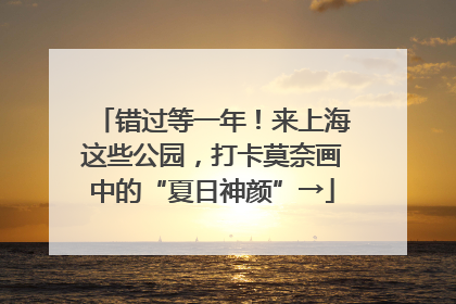 错过等一年！来上海这些公园，打卡莫奈画中的“夏日神颜”→