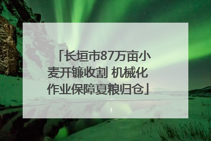 长垣市87万亩小麦开镰收割 机械化作业保障夏粮归仓