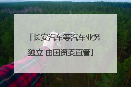 长安汽车等汽车业务独立 由国资委直管