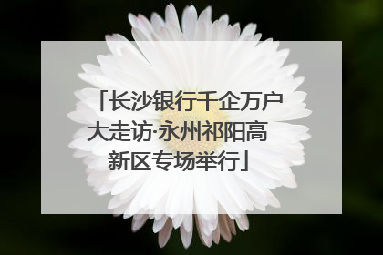 长沙银行千企万户大走访·永州祁阳高新区专场举行