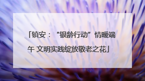 镇安：“银龄行动”情暖端午 文明实践绽放敬老之花