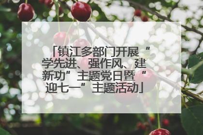 镇江多部门开展“学先进、强作风、建新功”主题党日暨“迎七一”主题活动