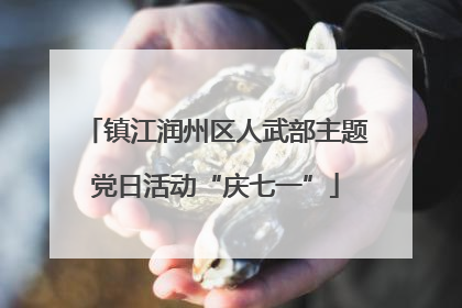镇江润州区人武部主题党日活动“庆七一”
