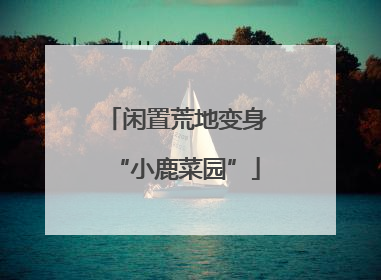 闲置荒地变身“小鹿菜园”